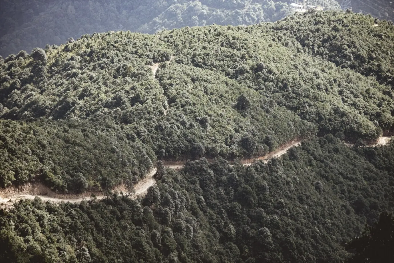 Снимок дороги на склоне лесистой горы, сделанный с высокого ракурса.